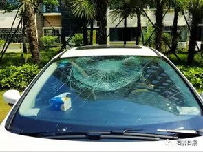 新车未开走前挡玻璃破裂 换玻璃还是换车的抉择
